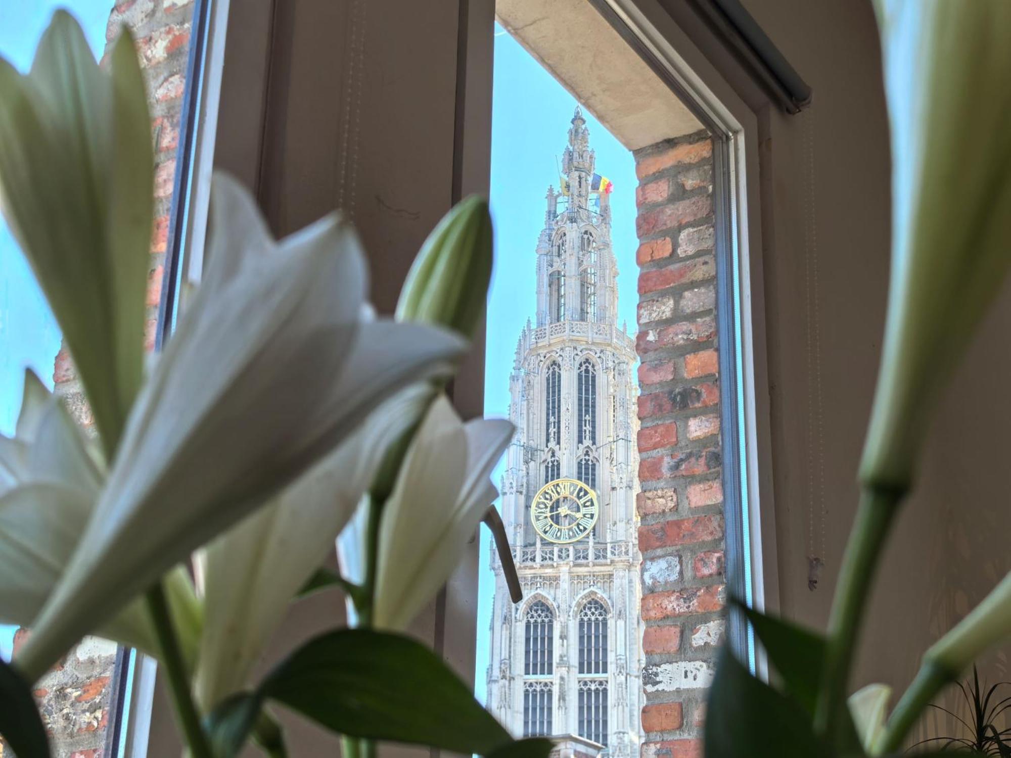 Historical Center Antwerp, All On Foot Exterior photo